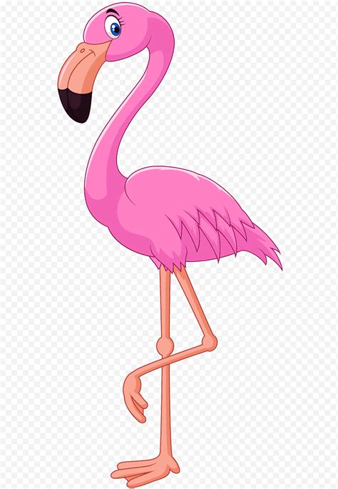flamingo çizgi film